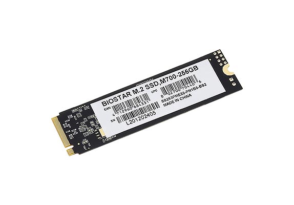 حافظه SSD اینترنال بایوستار مدل M700 ظرفیت 256 گیگابایت