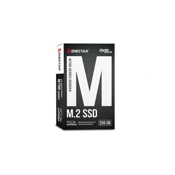 حافظه SSD اینترنال بایوستار مدل M700 ظرفیت 256 گیگابایت