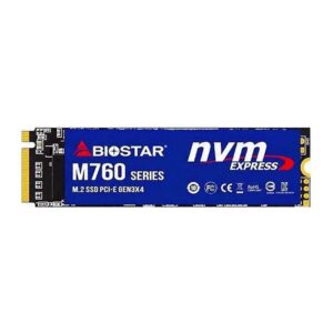 حافظه SSD اینترنال بایوستار مدل M760 ظرفیت 256 گیگابایت